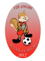 SCUOLA CALCIO VIS ANGRI